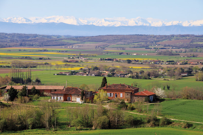 quintalone