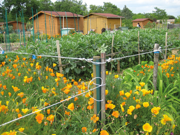 jardin bio tournefeuille
