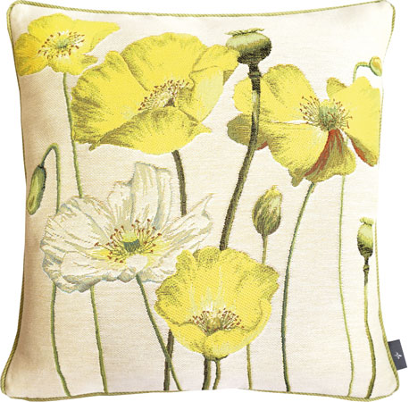 coussin toulouse