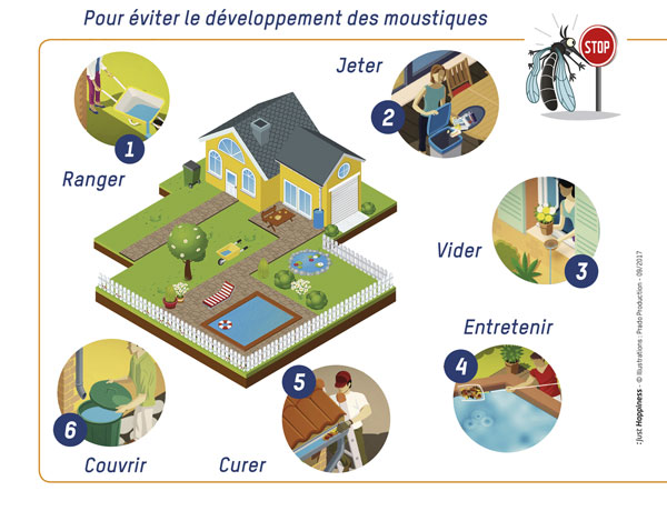 moustique tigre toulouse