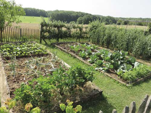 jardin toulouse caue31 maison paysagisme