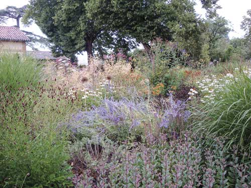 jardin toulouse caue31 maison paysagisme