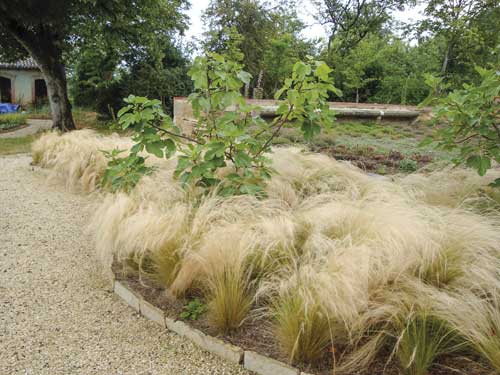 jardin toulouse caue31 maison paysagisme