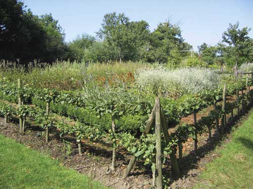 jardin toulouse caue31 maison paysagisme