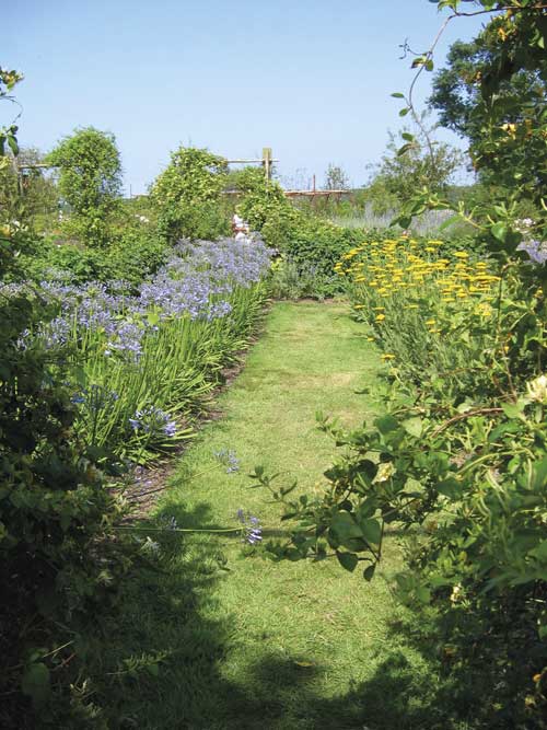 jardin toulouse caue31 maison paysagisme