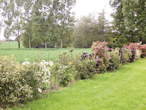 jardin toulouse caue31 maison paysagisme