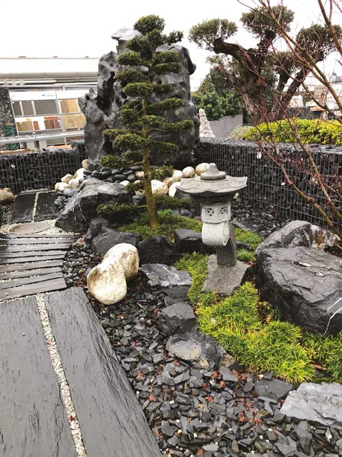 lanterne japonaise jardi creation pins justaret 