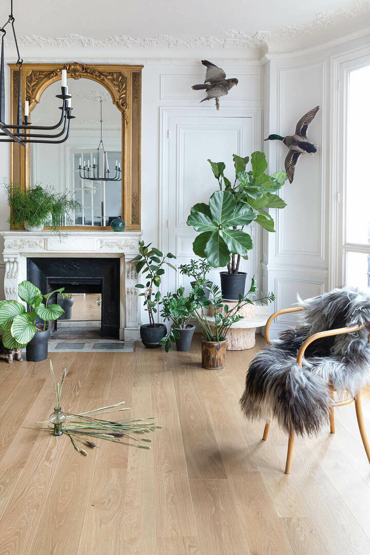 parquet toulouse bois ma maison
