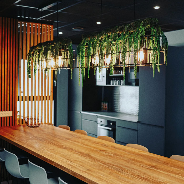 agence vegetale capsule vegetale toulouse