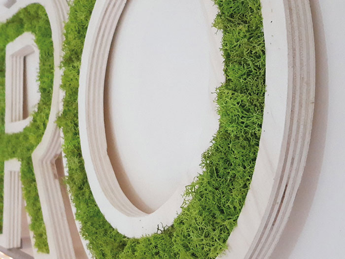 agence vegetale capsule vegetale toulouse