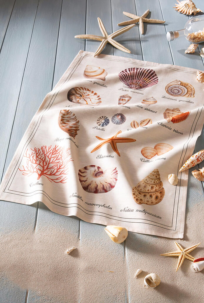 accessoire pour la cuisine