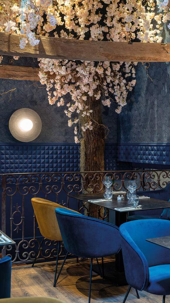 decoratrice albi